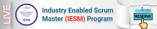 IESM Strip Banner